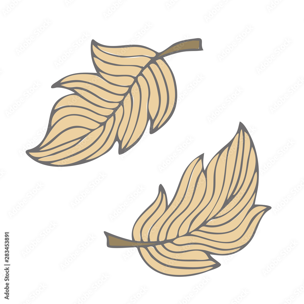 Set of isolated doodle feathers.