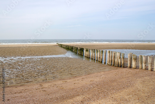 Wave breaker made of wooden stakes on the beach  Renesse  Netherlands