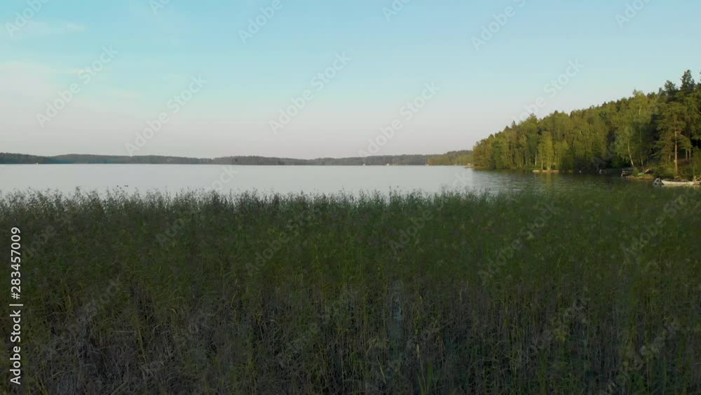 Aerial, drone shot, over green reeds, towards calm waters of lake Hvittrask, on a sunny, summer evening, in Kirkkonummi, Uusimaa, Finland Aerial, drone shot, over green reeds, towards calm waters of lake Hvittrask, on a sunny, summer evening, in Kirkkonummi, Uusimaa, Finland