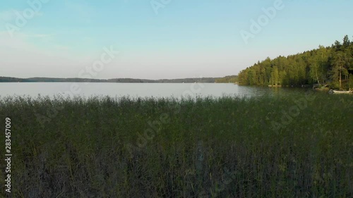Aerial, drone shot, over green reeds, towards calm waters of lake Hvittrask, on a sunny, summer evening, in Kirkkonummi, Uusimaa, Finland photo