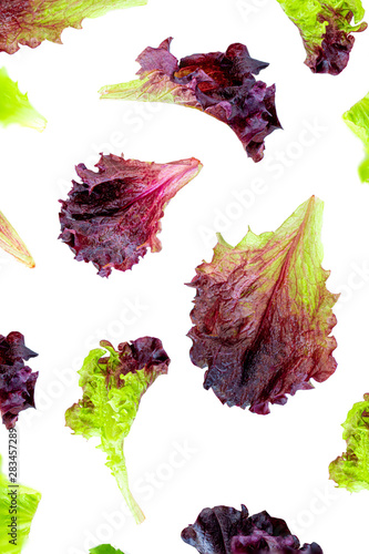 Flying Lettuce leaves Isolated. Fresh lettuce   Pattern. Batavia salad. Top view. Healthy organiv food concept. Flat lay photo