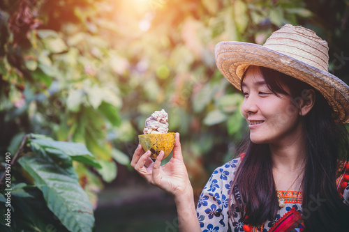 Young woman are checking cocoa products from the garden, In her hand, there is a fresh cocoa effect.