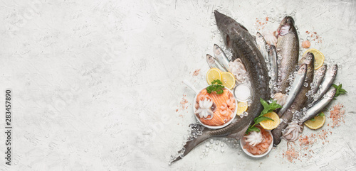 Photography Fresh fish and seafood