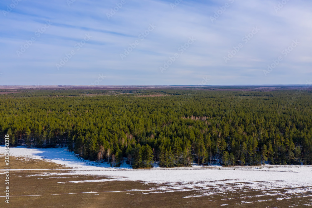 On the border of forest and field the snow melts. Aerial drone shot