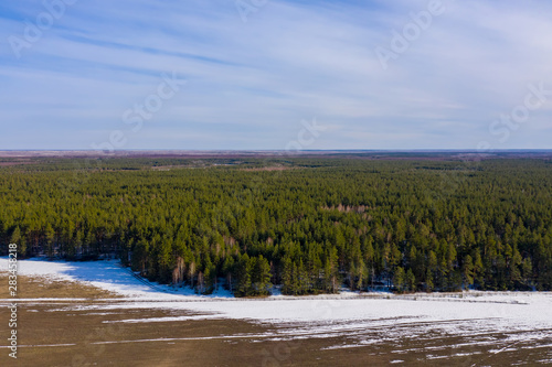 On the border of forest and field the snow melts. Aerial drone shot