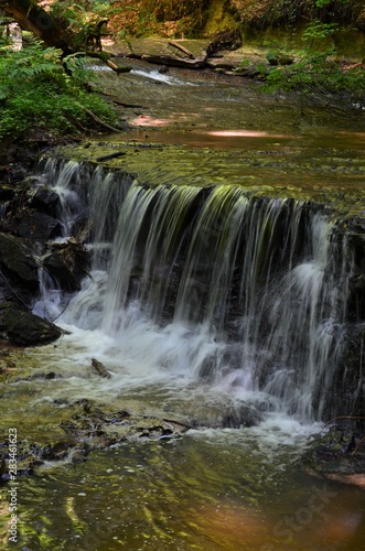 Fototapeta Naklejka Na Ścianę i Meble -  Wasserfälle im Steinbachtal