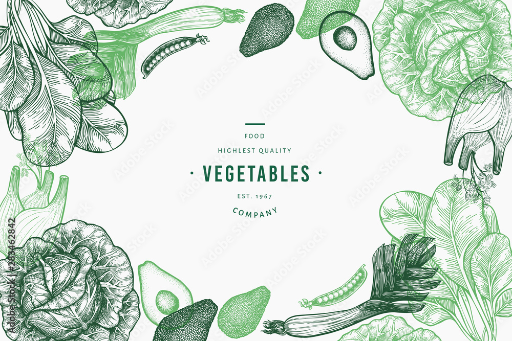 Green vegetables design template. Hand drawn vector food illustration. Engraved style vegetable frame. Retro botanical banner. - obrazy, fototapety, plakaty 