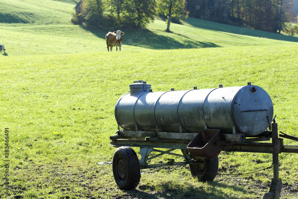 Wassertank für Rinder auf der Weide