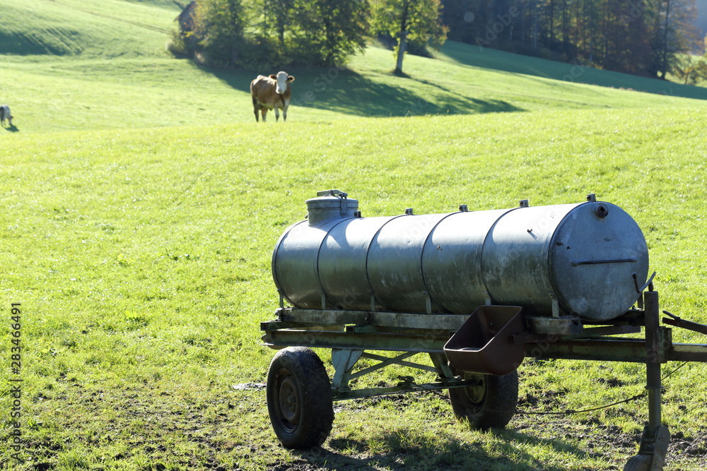 Wassertank für Rinder auf der Weide Wassertank für Rinder auf der Weide