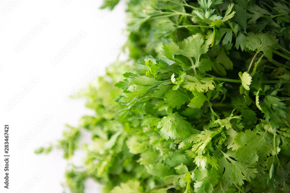 Fresh raw green cilantro. Farm seasonal spanish verdure, fruits and vegetables. Potherb. Green meat Fresh raw green cilantro. Farm seasonal spanish verdure, fruits and vegetables. Potherb. Green meat