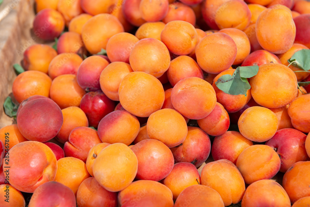 Fresh raw ripe juicy sweet apricots sold on outdoor market. Farm seasonal spanish fruits and vegetables Fresh raw ripe juicy sweet apricots sold on outdoor market. Farm seasonal spanish fruits and vegetables