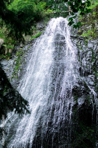 high waterfall in dark forest dark green plants around, logs below of waterfall