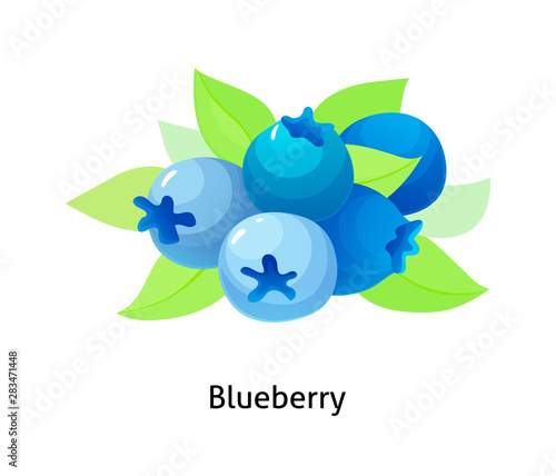 Blueberry berries with leaf on white background.