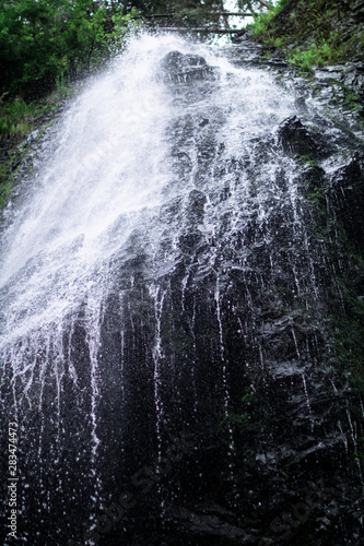 Wallpaper Mural high waterfall in dark forest dark green plants around, logs below of waterfall Torontodigital.ca