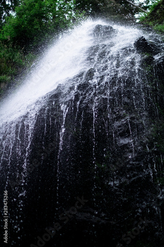 high waterfall in dark forest dark green plants around  logs below of waterfall