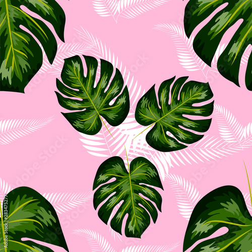Tropical seamless pattern. Botany design  jungle leaves of palm tree  monstera.