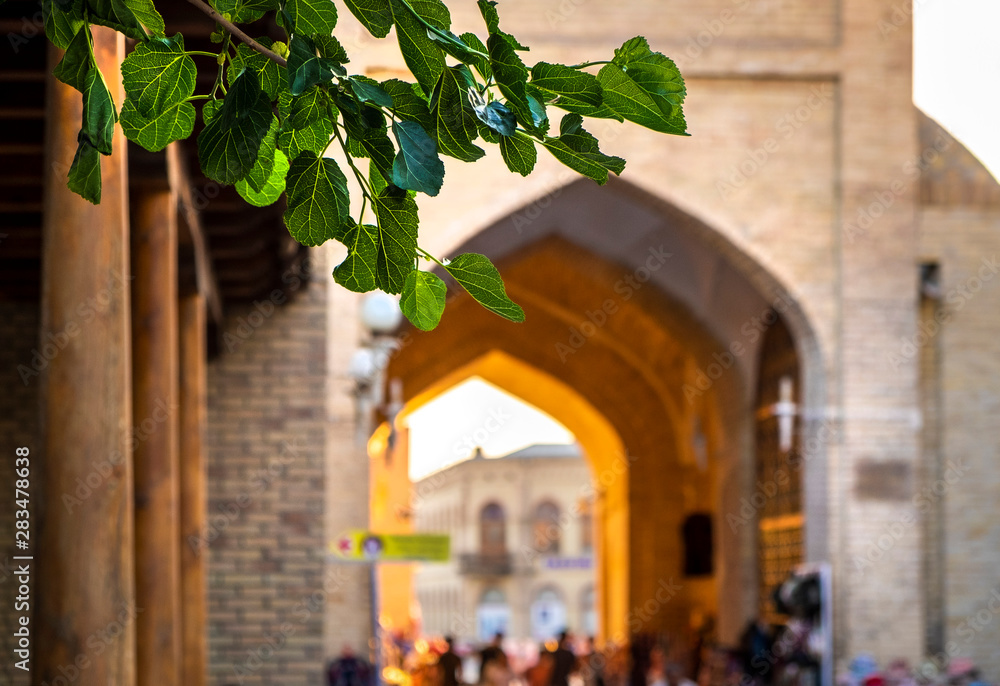 Dome market in old town of Bukhara, leaves are in the picture's foreground