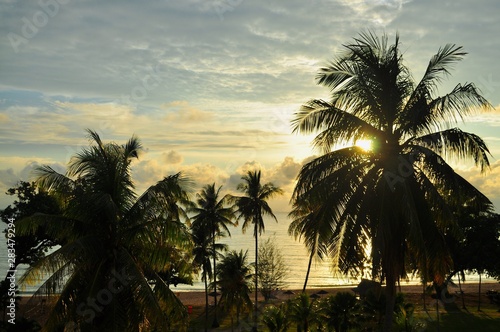 Scenic view of Desaru Beach (located in Malaysia) with sunrise in the background, and palm trees in the foreground ..
