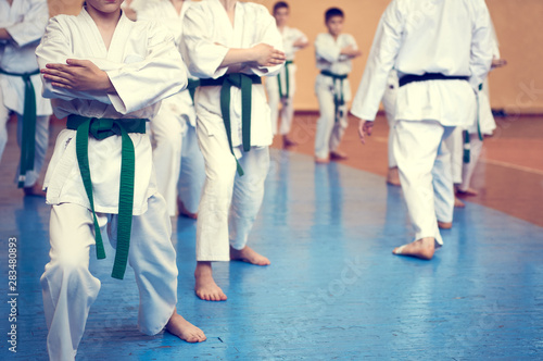 Kids training on karate-do. Young athletes in traditionally white kimonos with colored belts. Banner with space for text. Retro style. For web pages or advertising printing. Photo without faces.