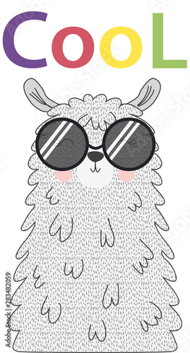 Lama is cute in the Scandinavian style, fashionable, cool, in dark sunglasses.