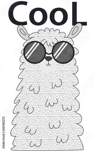 Lama is cute in the Scandinavian style, fashionable, cool, in dark sunglasses.