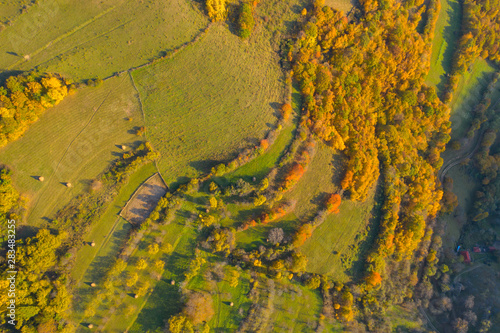Drone view of autumn meadow and forest