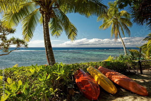 Tropical island holiday, a beach with palm trees on the south pacific island of Tonga. photo