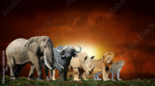 Big five on savanna landscape background and Mount Kilimanjaro at sunset