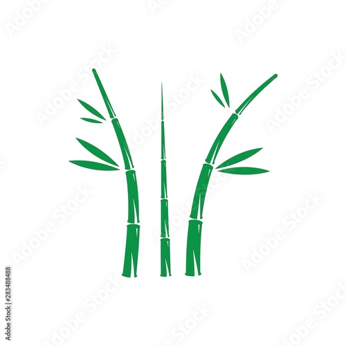 Bamboo with green leaf