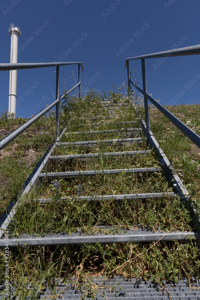 Fototapeta premium zugewachsene treppe an böschung