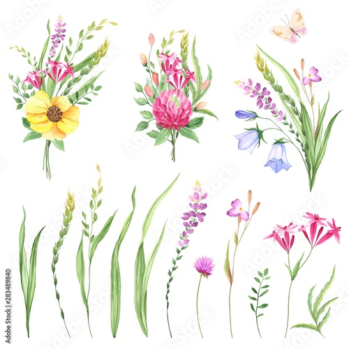 Wildflowers set with bouquets and design elements meadows. Floral collection of flowers, grasses, leaves and branches. Vector illustration in watercolor style on white background.