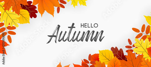 Hello autumn falling leaves. Autumnal foliage fall and poplar leaves. Autumn design. Templates for placards, banners, flyers, presentations, reports.