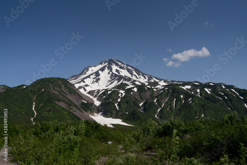 Symmetrical cone of Vilyuchik (also known: Vilyuchinsky Sopka), a stratovolcano in the southern part of Kamchatka Peninsulain Russian Far East. Erman's birch (Latin: Betula ermanii) foliage in front.