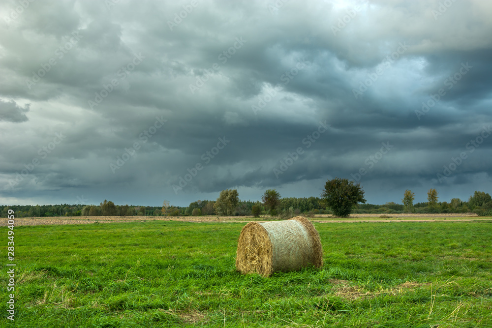 Hay bale in the meadow and cloudy sky