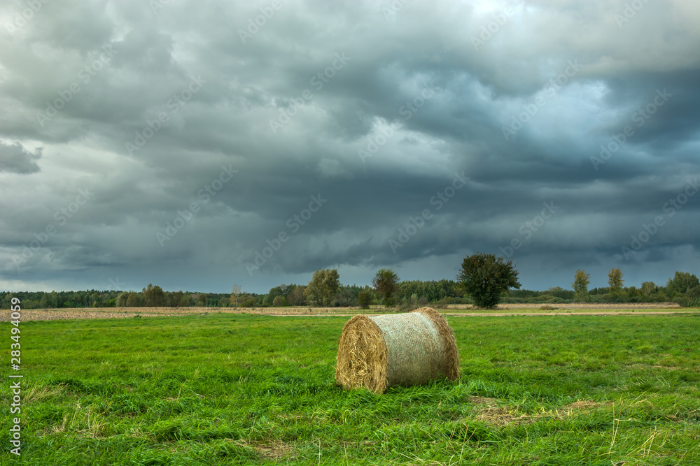 Hay bale in the meadow and cloudy sky Hay bale in the meadow and cloudy sky
