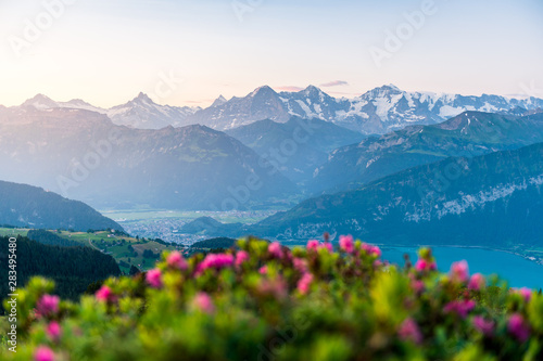 Morgenstimmung über Interlaken, dem Thunersee und den Berner Alpen mit Eiger, Mönch und Jungfrau © schame87