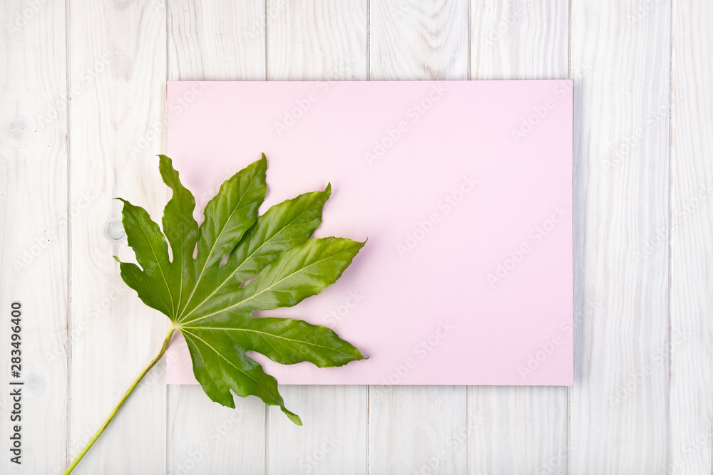 Flat lay composition with pink board and green leaves on white wooden table