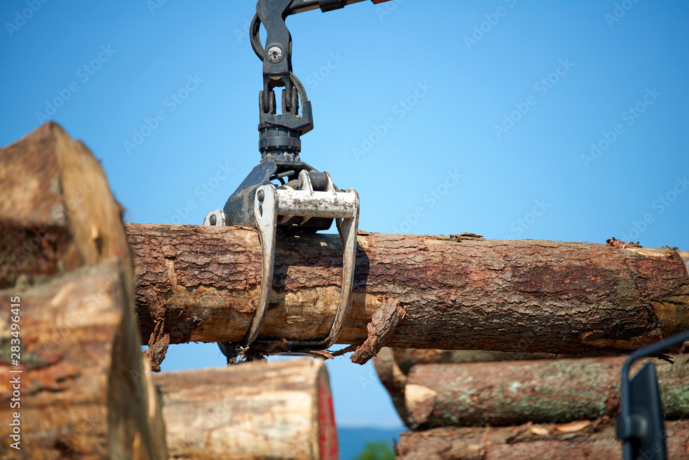 Heavy lifting crane loading cut wooden logs Crane operator loading logs on to truck - logs and woodpiles