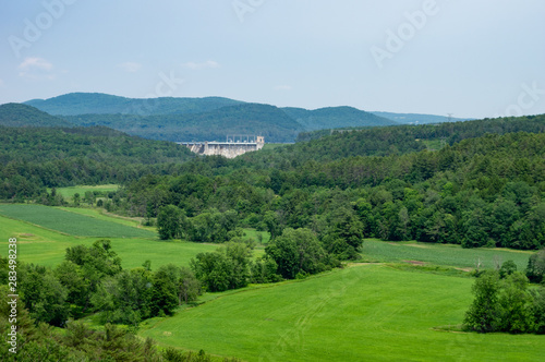 Tree Covered Valley