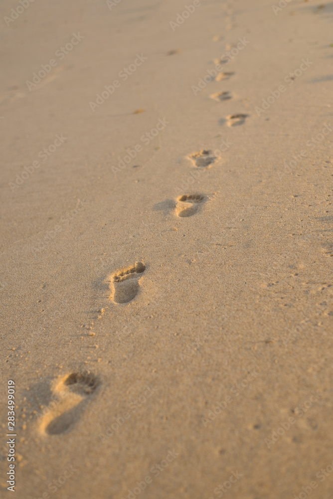 Prints of children's feet on the wet sand by the sea. Prints of children's feet on the wet sand by the sea.