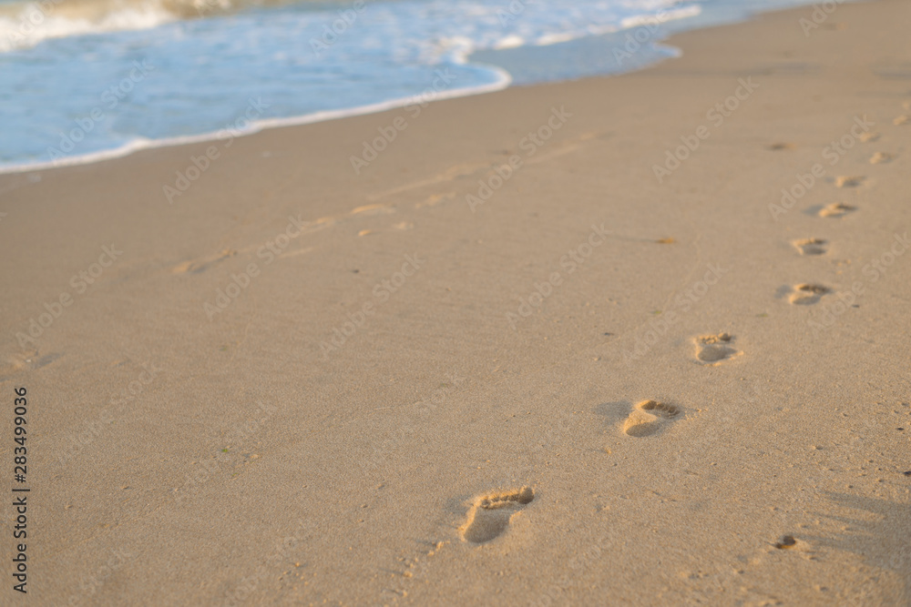 Prints of children's feet on the wet sand by the sea. Prints of children's feet on the wet sand by the sea.