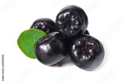 Chokeberry with green leaves isolated on white background. Black aronia