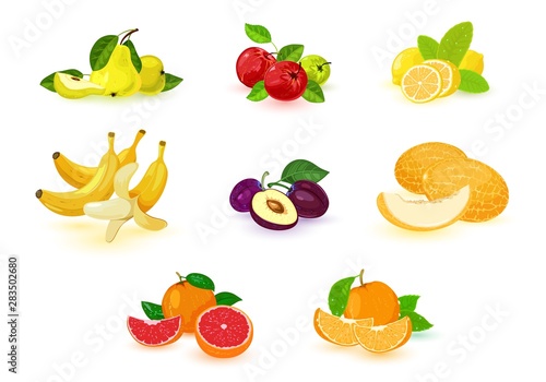 Fototapeta Naklejka Na Ścianę i Meble -  Vector image shows set of different colorful examples of tropical and local fruits isolated illustration