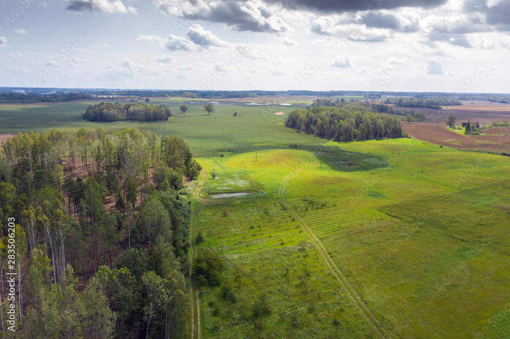 Tidy forest in countryside landscape. Tidy forest in countryside landscape.