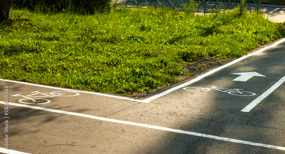 Obraz premium Bike path in the Park. Summer, outdoor activities.