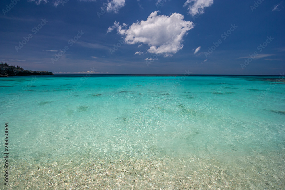 Coast of the island of bonaire in summer