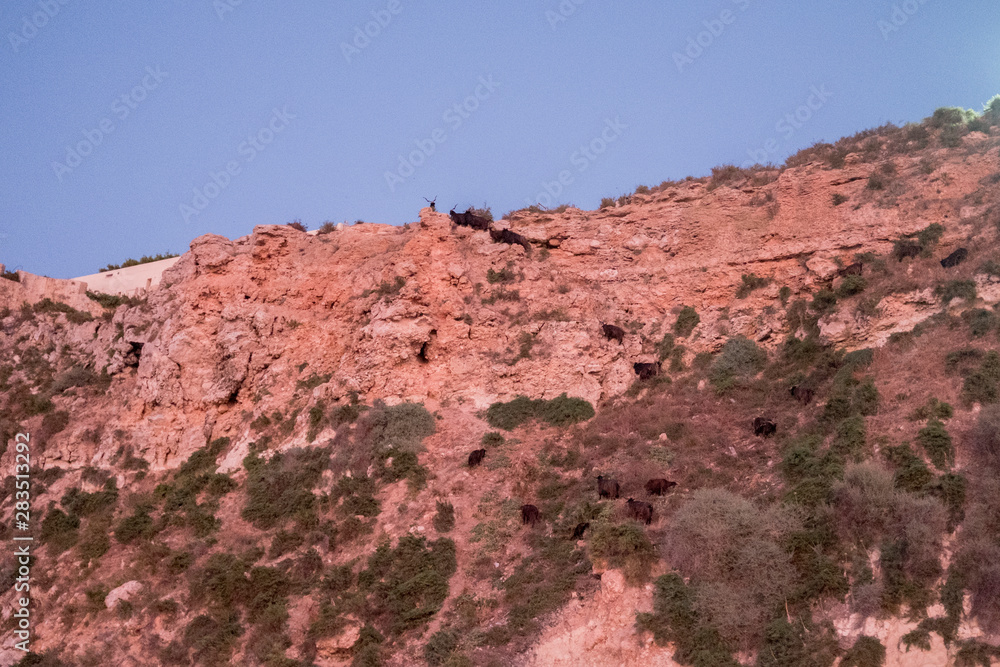 Isole Tremiti Isole Tremiti