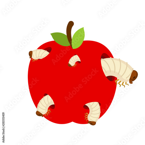Wormy apple isolated. Fruit and Worms. vector illustration