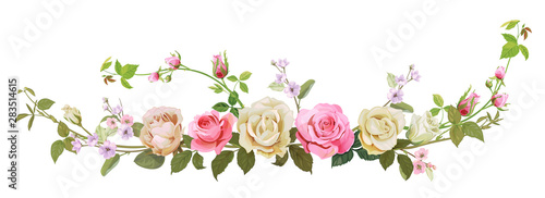 Panoramic view: bouquet of roses, spring blossom. Horizontal border: branches pink, white flowers, buds, green leaves, white background. Digital draw illustration in watercolor style, vintage, vector