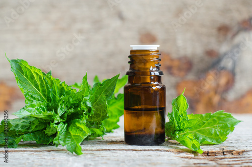 Small bottle with essential mint oil on the old wooden background. Fresh spearmint leaves close up. Aromatherapy, spa and herbal medicine ingredients. Copy space